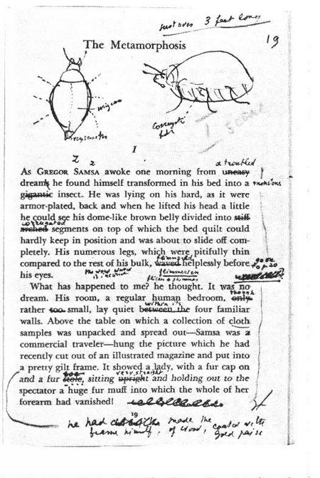 Kafka essays